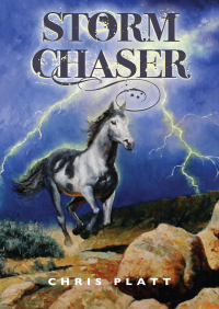Immagine di copertina: Storm Chaser 9781497637573