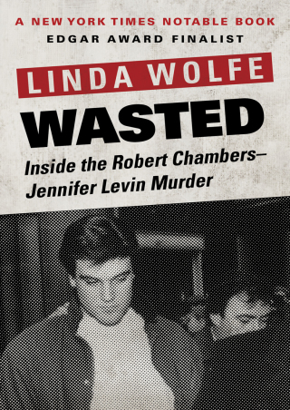 Cover image: Wasted 9781497637405