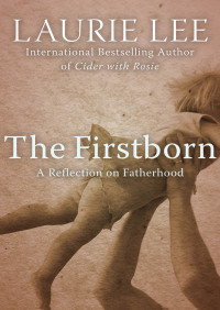 Cover image: The Firstborn 9781497641365