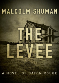 صورة الغلاف: The Levee 9781497650077