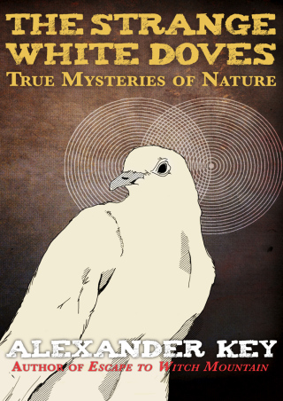Cover image: The Strange White Doves 9781497652545