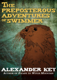 Titelbild: The Preposterous Adventures of Swimmer 9781497652590