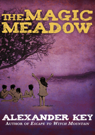 Imagen de portada: The Magic Meadow 9781497652613