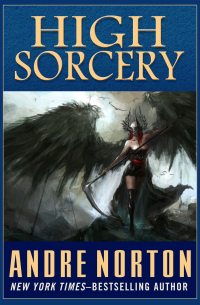 Immagine di copertina: High Sorcery 9781497656277
