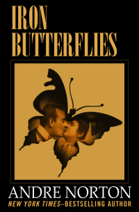 Immagine di copertina: Iron Butterflies 9781497656338
