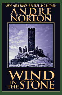 Cover image: Wind in the Stone 9781497657052