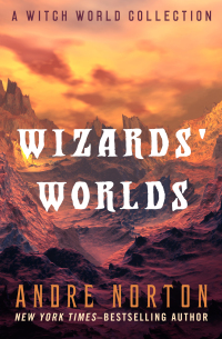 Omslagafbeelding: Wizards' Worlds 9781497657083