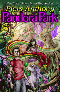 Omslagafbeelding: Pandora Park 9781624672033