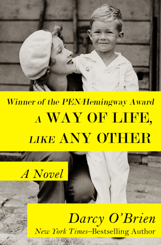 Cover image: A Way of Life, Like Any Other 9781497658714