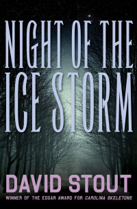Immagine di copertina: Night of the Ice Storm 9781497663237