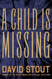 Immagine di copertina: A Child Is Missing 9781497663329