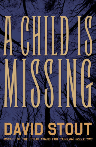 Imagen de portada: A Child Is Missing 9781497663329