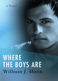 Cover image: Where the Boys Are 9781504087698