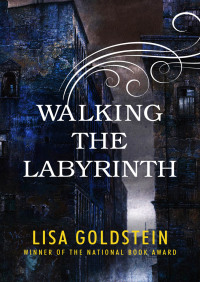 Cover image: Walking the Labyrinth 9781497673618