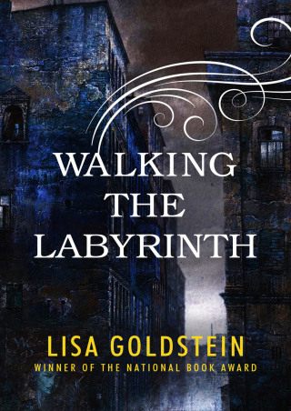 Imagen de portada: Walking the Labyrinth 9781497673618