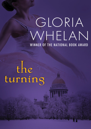 Cover image: The Turning 9781497673854