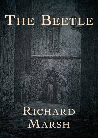 Cover image: The Beetle 9781497678866