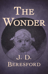 Cover image: The Wonder 9781497679306