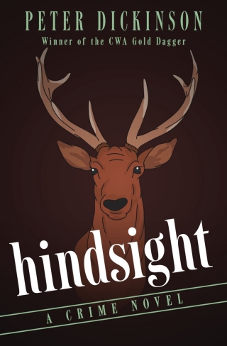 Titelbild: Hindsight 9781497684454