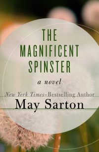 Immagine di copertina: The Magnificent Spinster 9781497685482
