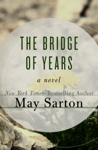 Cover image: The Bridge of Years 9781497685529