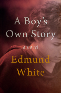 Cover image: A Boy's Own Story 9781497685918