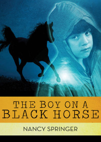 صورة الغلاف: The Boy on a Black Horse 9781497688704