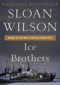Cover image: Ice Brothers 9781497689633