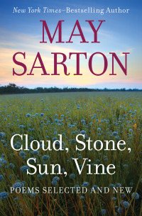 Cover image: Cloud, Stone, Sun, Vine 9781497689541