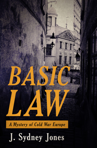 Imagen de portada: Basic Law 9781497690479