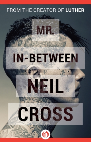 Cover image: Mr. In-Between 9781497692589