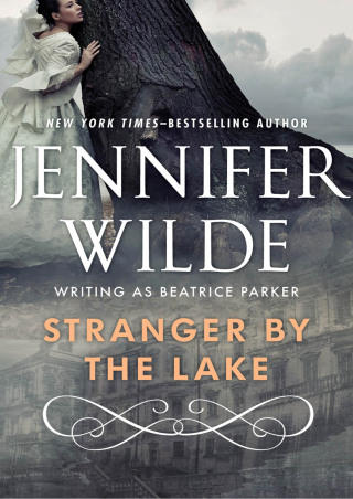 Cover image: Stranger by the Lake 9781497698314