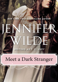 Cover image: Meet a Dark Stranger 9781497698345
