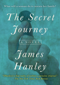 Cover image: The Secret Journey 9781497699861