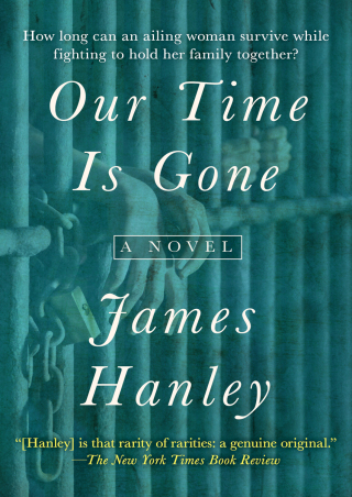 Immagine di copertina: Our Time Is Gone 9781497699878