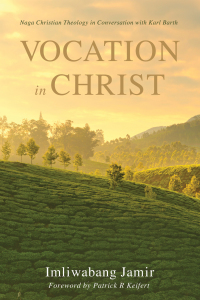 Cover image: Vocation in Christ 9781498201254
