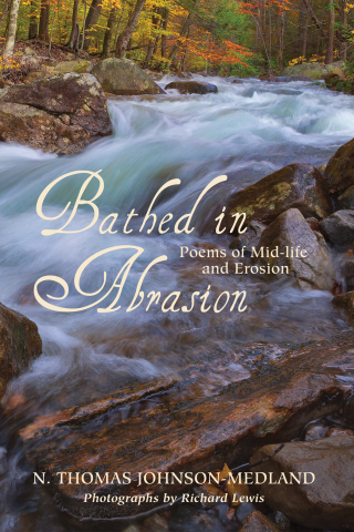Cover image: Bathed in Abrasion 9781498201278