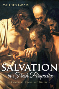 Omslagafbeelding: Salvation in Fresh Perspective 9781498201827