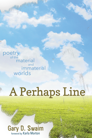 Cover image: A Perhaps Line 9781498204156