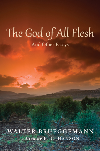 Cover image: The God of All Flesh 9781498206440