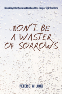 Titelbild: Don’t Be a Waster of Sorrows 9781498207331
