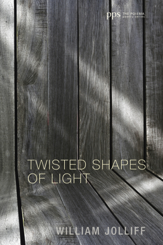 Titelbild: Twisted Shapes of Light 9781498208406