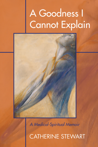 Cover image: A Goodness I Cannot Explain 9781498209199