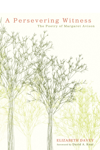Cover image: A Persevering Witness 9781498223928