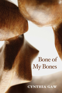 Titelbild: Bone of My Bones 9781498225526
