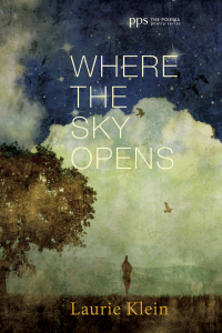 Cover image: Where the Sky Opens 9781498230902