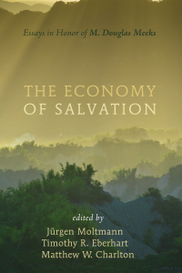 Titelbild: The Economy of Salvation 9781620326282