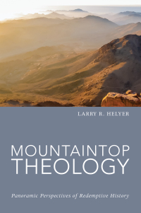 Omslagafbeelding: Mountaintop Theology 9781498237680