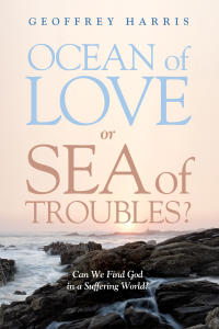 Cover image: Ocean of Love, or Sea of Troubles? 9781498238045