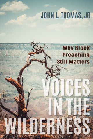 Cover image: Voices in the Wilderness 9781498238977